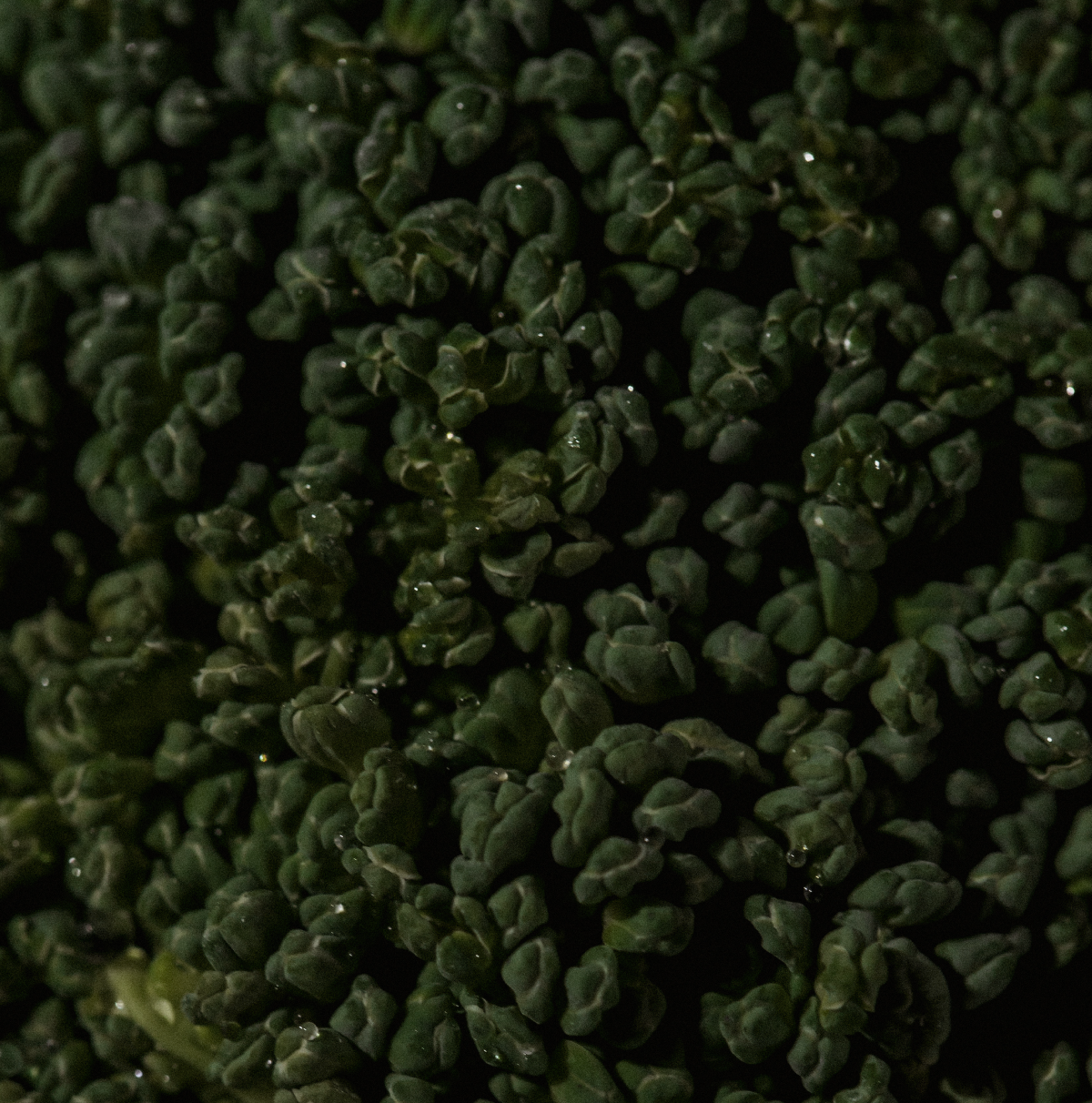 What if your supplements are doing more than you think?