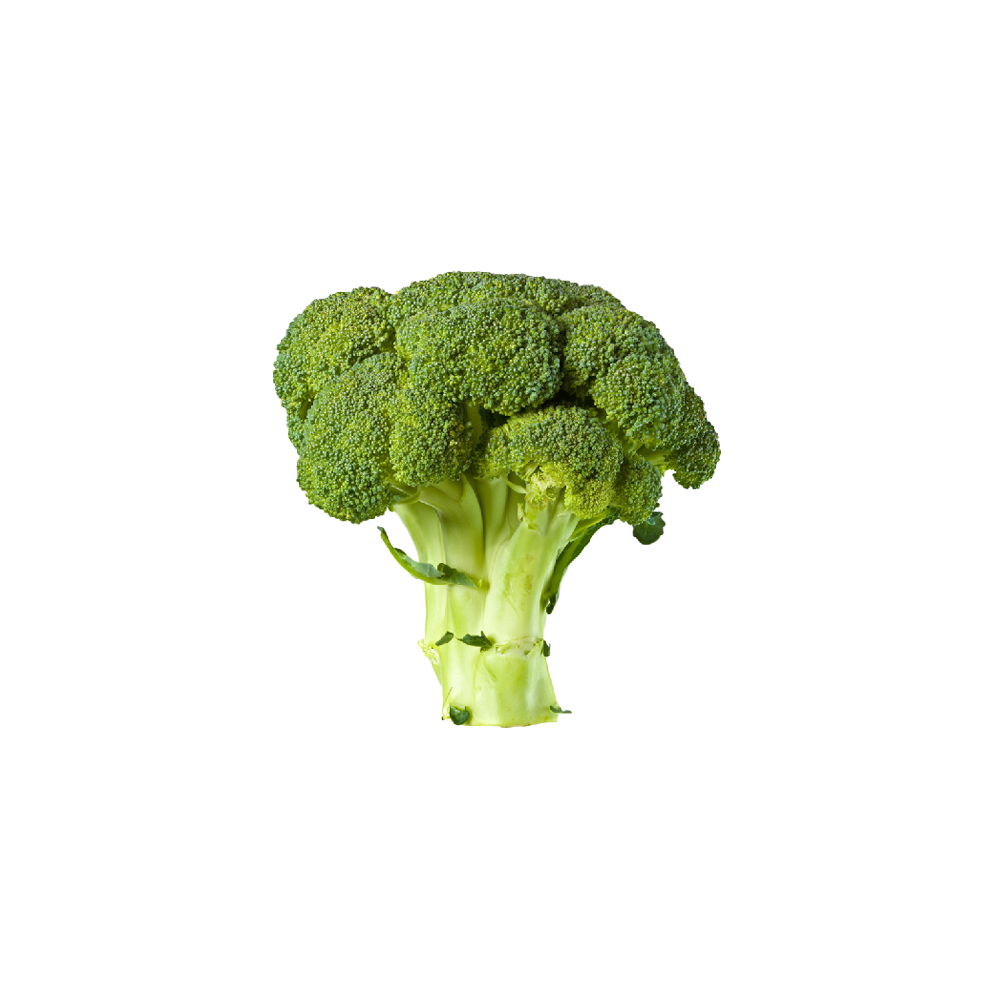 Broccoli